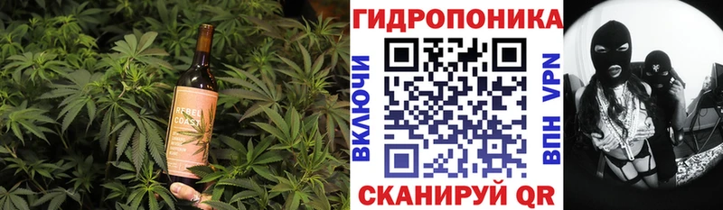 наркошоп Стародуб Еда ТГК конопля
