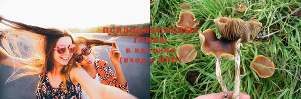 спиды Арсеньев