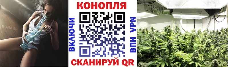 маркетплейс состав  как найти закладки  KRAKEN ТОР  Стародуб  Шишки марихуана Amnesia 